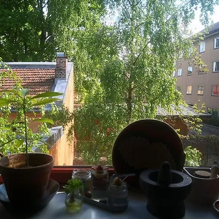 Bo Upretensiost Pa Valerenga, Naer Gamlebyen *
