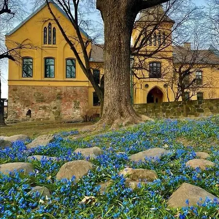 Bo Upretensiost Pa Valerenga, Naer Gamlebyen *